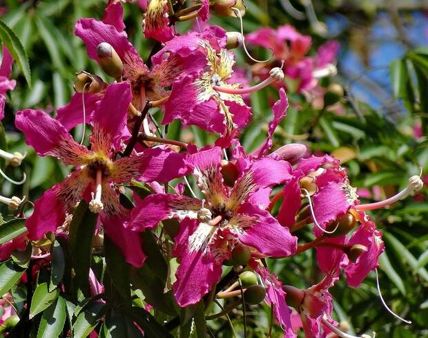 УРА!!!!!!!!!!!!!!!!!