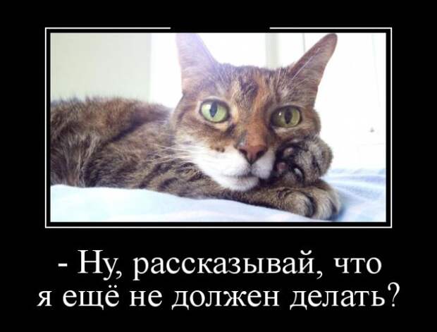 Демотиваторы (30 фото) Демотиваторы (30 фото)