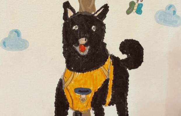 Рисунки детей поддержат животных из приютов в Москве и Подмосковье