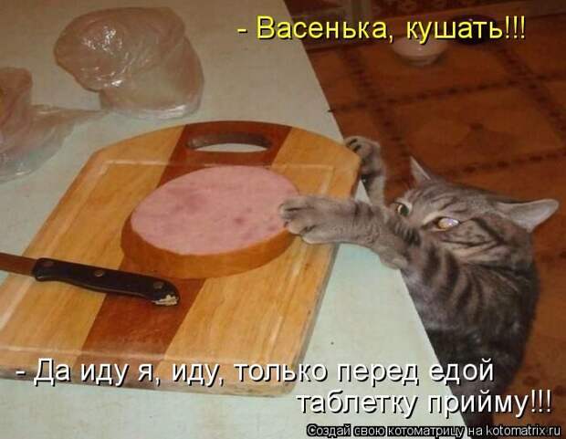 Лучшие котоматрицы недели