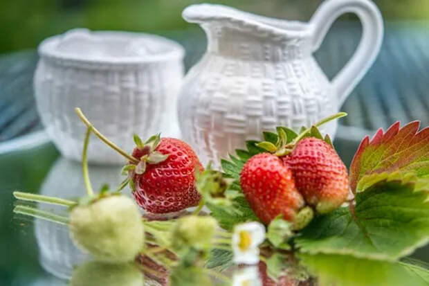 Вкусно и полезно: лучшие сезонные фрукты и ягоды, которые стоит включить в рацион летом, чтобы получить витаминный заряд Вкусно и полезно: лучшие сезонные фрукты и ягоды, которые стоит включить в рацион летом, чтобы получить витаминный заряд