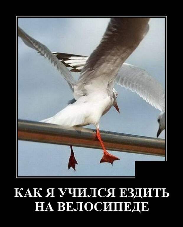 Демотиваторы (20 фото)