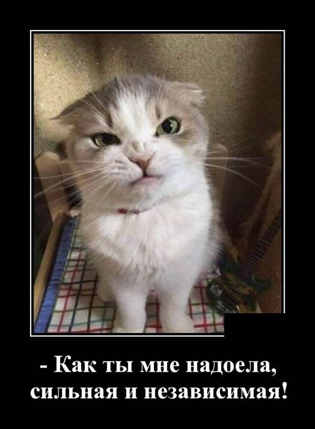 Демотиваторы (30 фото)