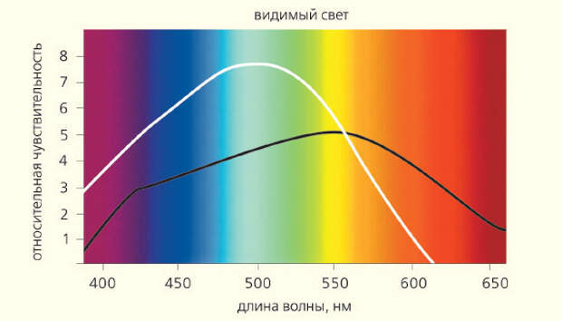 Длина волны фото