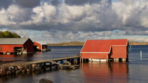 Паранойя прогрессирует. В НАТО придумали, куда "ударит" Россия