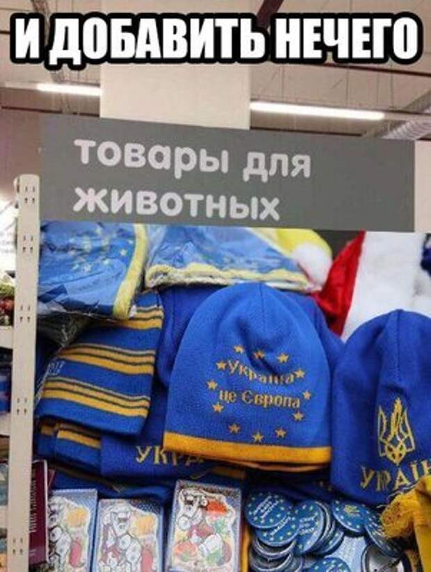 1455686515166571903.jpg