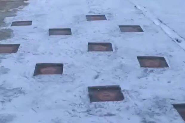 В Петербурге на льду канала Грибоедова открыли необычную аллею славы российских олимпийцев