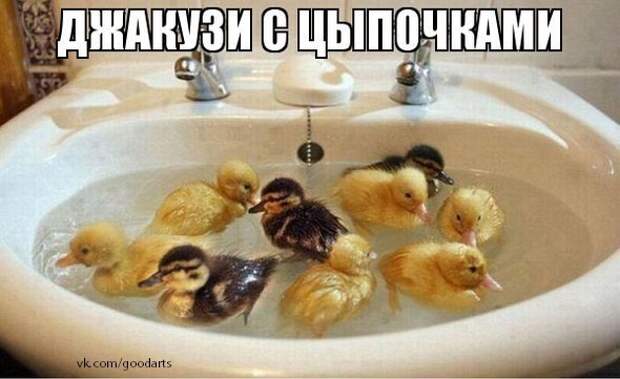 Всяко - разно 12 )))