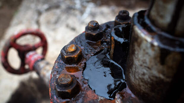 Аналитик назвал снижение потолка цен на нефть из России бюрократической процедурой