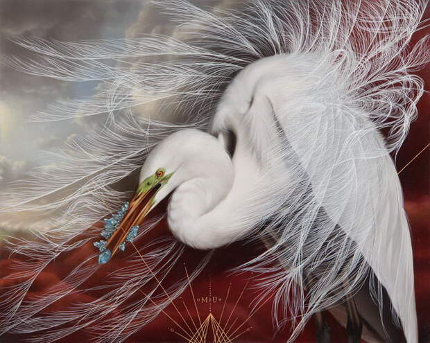 Красивые птицы в картинах Josie Morway
