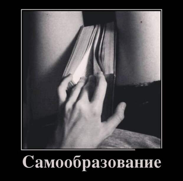 Демотиваторы (30 фото)