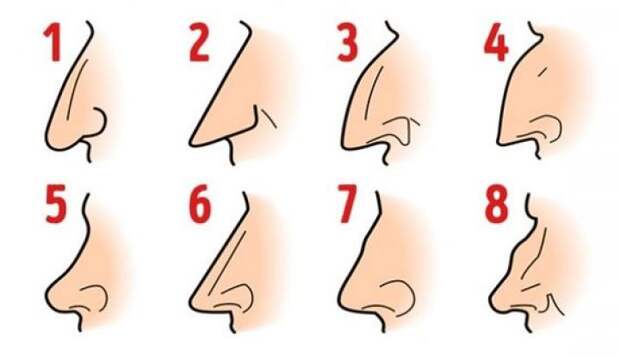 Выберите форму носа, а мы расскажем о вашем характере