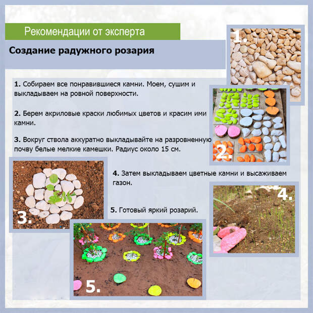 Создание радужного розария