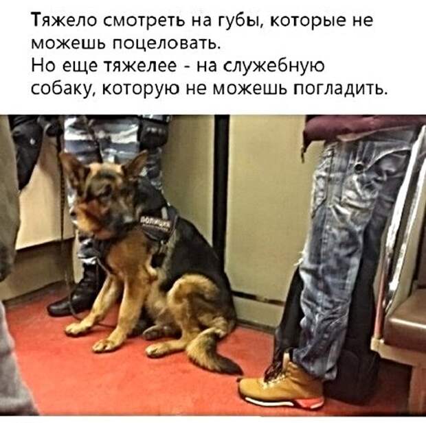 Картинки с надписями, истории и анекдоты