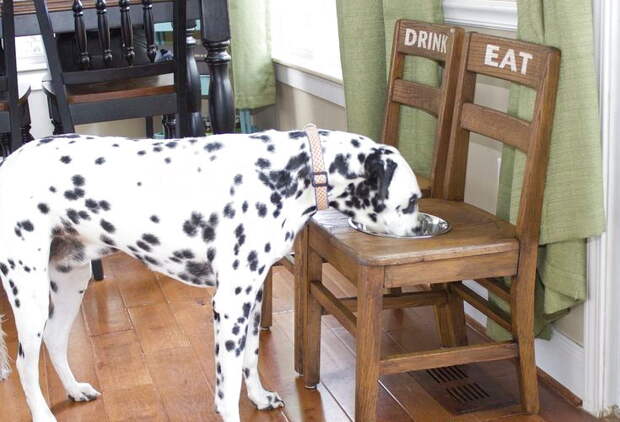 Собачья радость: оригинальный стул-подставка для миски. Мастер-класс