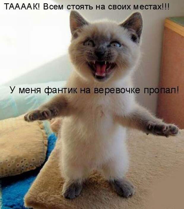 Мысли вслух :)