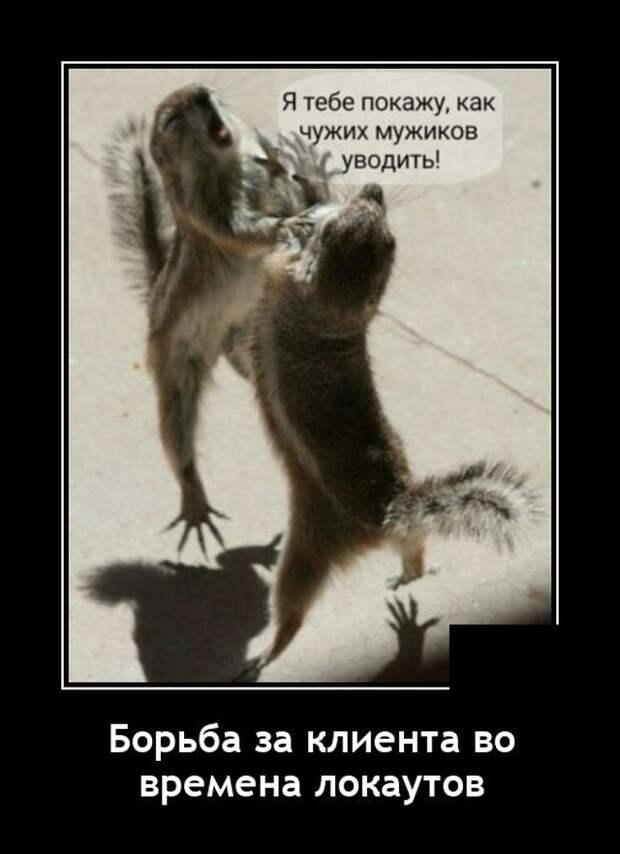 Демотиваторы 29 октября 2021 года
