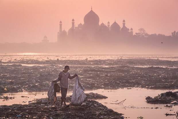 Финалисты экологического фотоконкурса Atkins Ciwem Environmental Photographer of the Year 2016