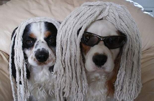 Давайте улыбаться вместе! :)