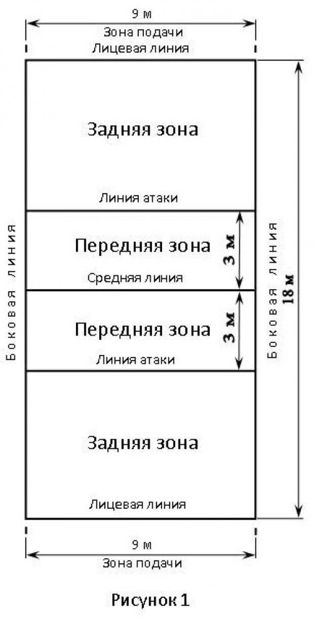 Техника и правила игры в волейбол. Правила игры в волейболе — доступно и просто