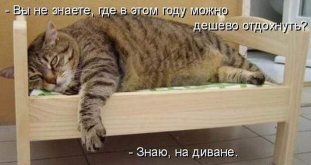 Мысли вслух :)