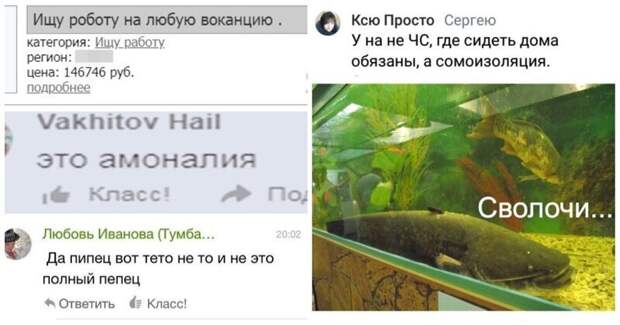 Не уже Ли эти над писи амоналия на сомоизоляции