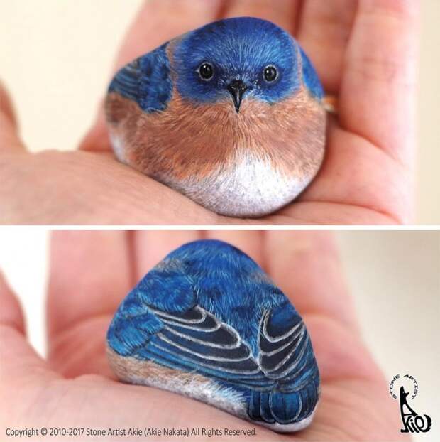 птичка - рисунок на камне