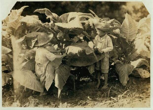 Льюис Хайн – автор снимков о том, как использовали детский труд в Америке (18 фото)