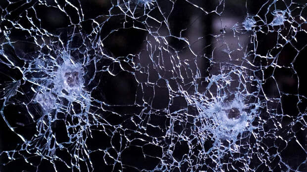 Несколько дронов уничтожили в Ленобласти