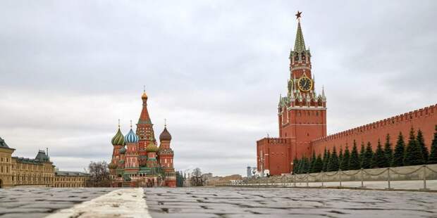 Более 20 тыс общественных советников Москвы подписали обращение в поддержку денацификации Украины Фото: М. Денисов mos.ru