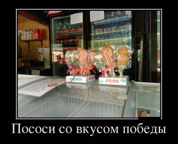 Демотиваторы (30 фото)