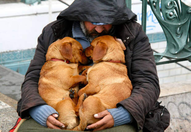 dogs_dont_care_about_money_all_they_need_is_love_640_10