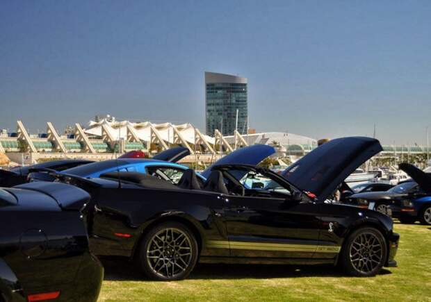 авто, ford, mustang