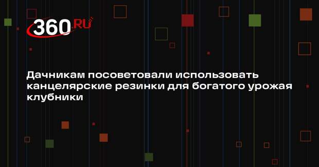 Дачникам посоветовали использовать канцелярские резинки для богатого урожая клубники
