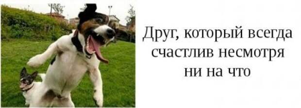 Такие друзья, есть у каждого из вас.