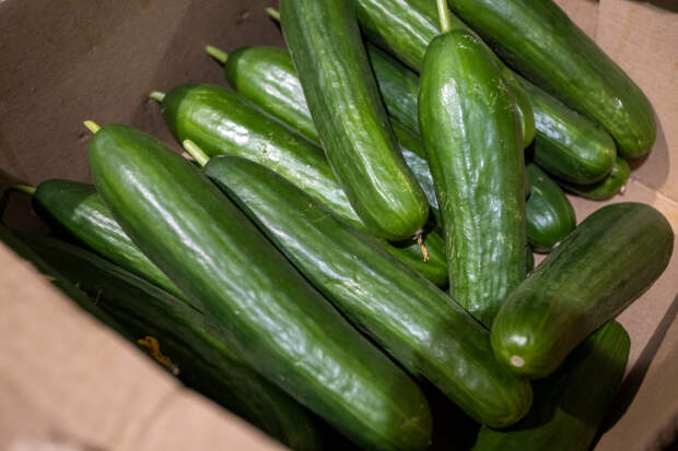 От теплицы до прилавка: огурцы стали дороже из-за наценок ритейла