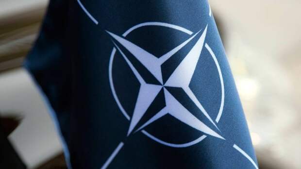 Песков прокомментировал назначение Рютте в НАТО