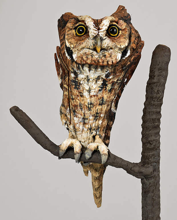 Kathy Boortz - Astonished Little Owl - Photograph Copyright 2011 by J R Compton. All Rights Reserved. No Reproduction in Any Medium Without Specific Written Permission.