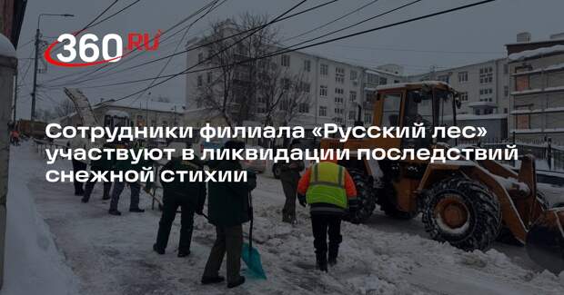 Коммунальщики и лесники расчищают дороги после мощных снегопадов