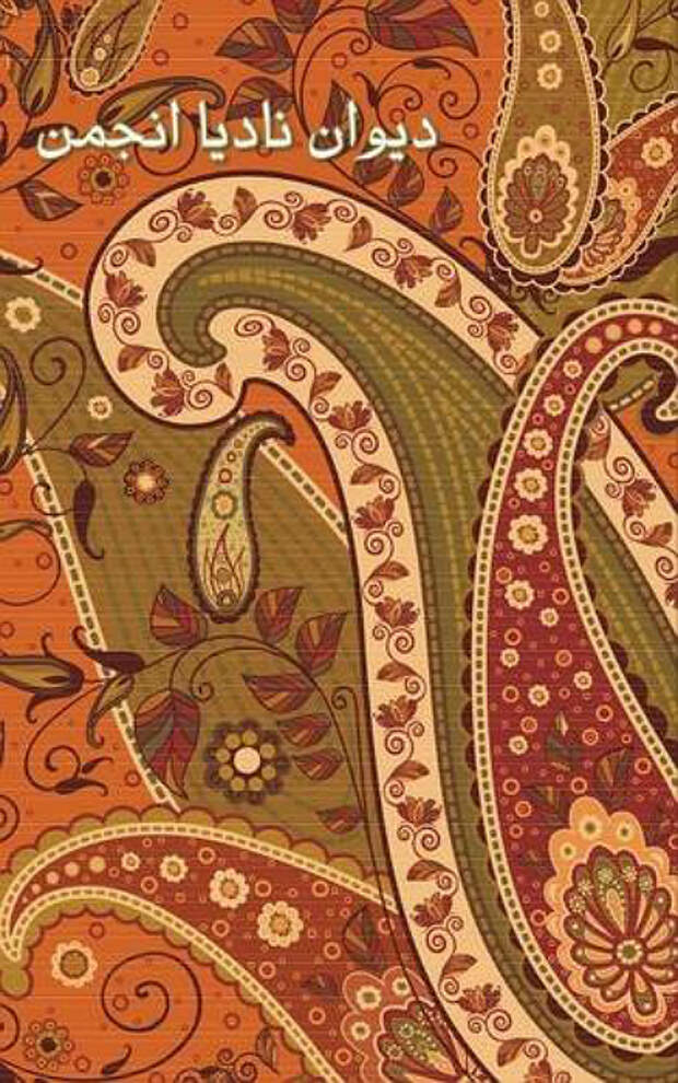 Обложка первой книги Анжуман. Обложка первой книги Анжуман.