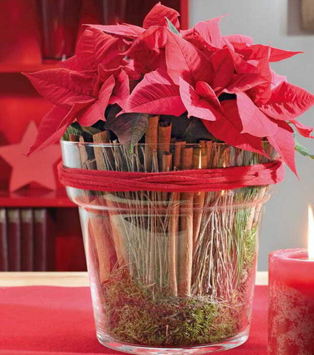 home-flowers-in-new-year-decorating1-6 (530x600, 103Kb)