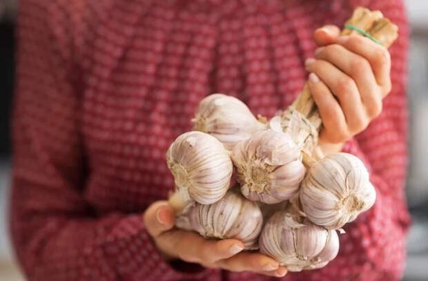 Как нужно есть чеснок, чтобы себе не навредить