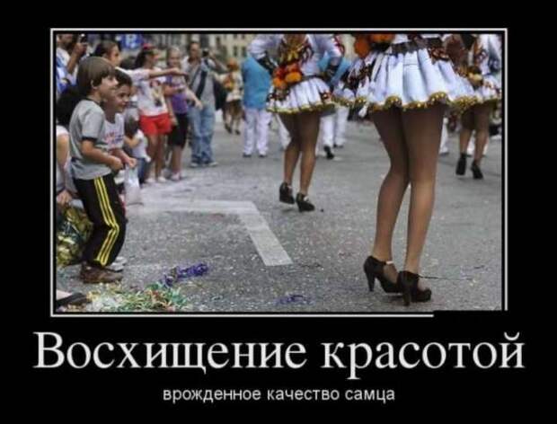 Прикольные демотиваторы с надписями. Подборка chert-poberi-dem-chert-poberi-dem-21290913072020-3 картинка chert-poberi-dem-21290913072020-3