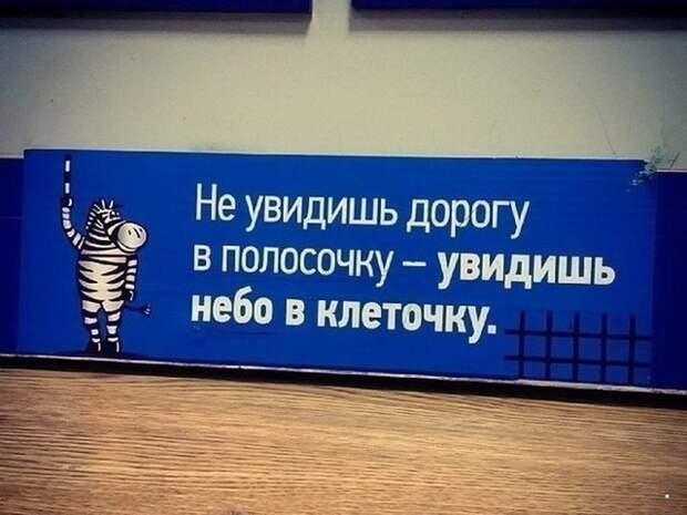 Автовсячина Автовсячина, авто, автомобиль, автоприкол, машина, прикол
