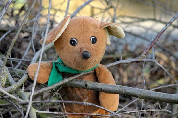 В одном из сёл Коми пропал ребёнок