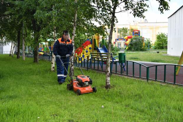 Стрижка газона во вдоре дома 32 на Новоросиийской улице / Фото: Денис Афанасьев