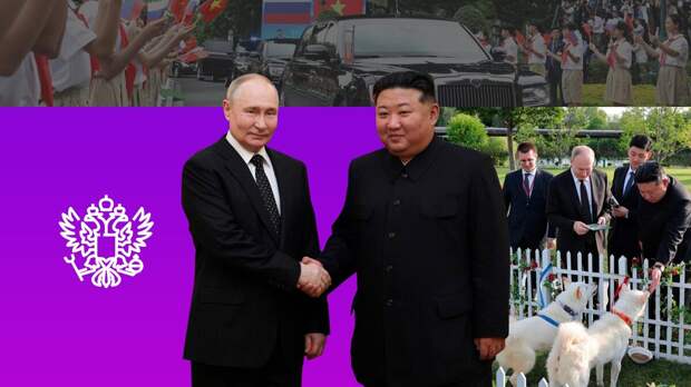 Коллаж 78.ru: пресс-служба президента России, KCNA, flaticon.com/justicon