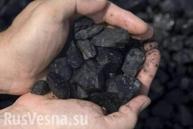 Украина попросила США поставить ей миллионы тонн угля, — Трамп | Русская весна