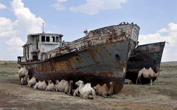 Трагедия Аральского моря 