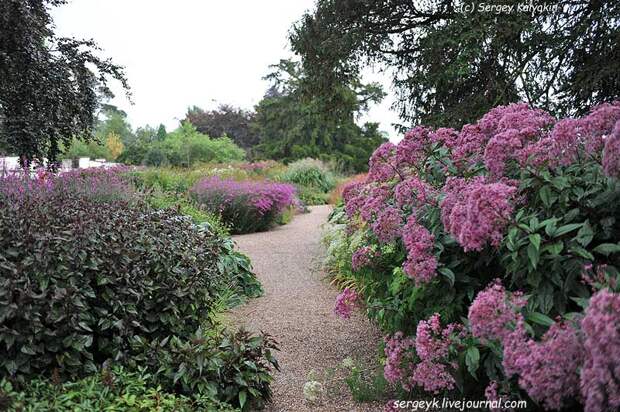 Trantham Gardens 064.JPG
